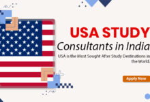 education consultants USA