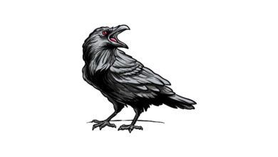 How to draw a Crow
